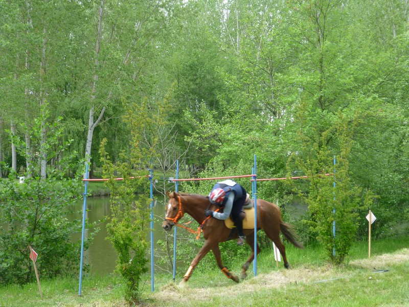 Dos amazonas navarras clasifican en el Trec*** Internacional de Masseube (Francia)